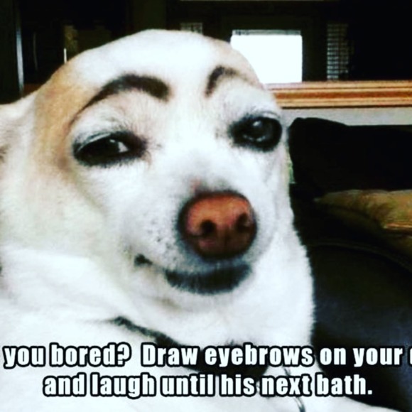 Meet your Posher, Music&good mood - Picture 1 of 1